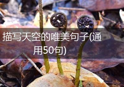 描写天空的唯美句子(通用50句)