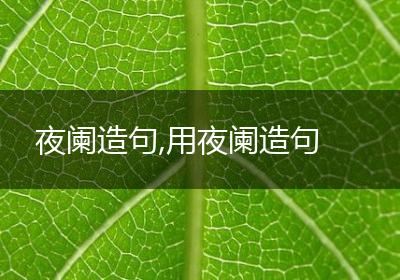 夜阑造句,用夜阑造句