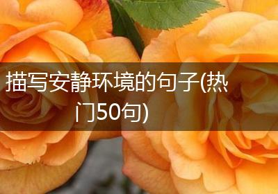 描写安静环境的句子(热门50句)