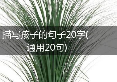描写孩子的句子20字(通用20句)