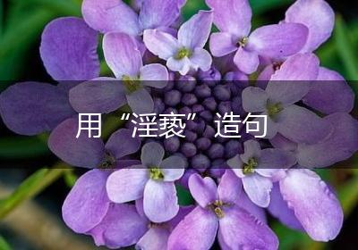用“淫亵”造句