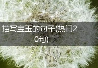 描写宝玉的句子(热门20句)