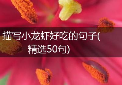 描写小龙虾好吃的句子(精选50句)