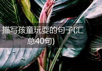 描写孩童玩耍的句子(汇总40句)