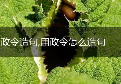 政令造句,用政令怎么造句