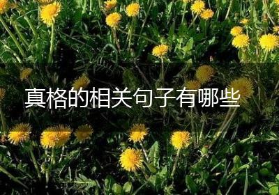 真格的相关句子有哪些