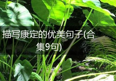 描写康定的优美句子(合集9句)