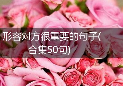 形容对方很重要的句子(合集50句)
