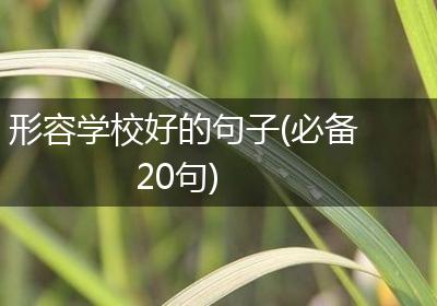形容学校好的句子(必备20句)