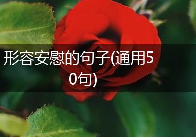形容安慰的句子(通用50句)