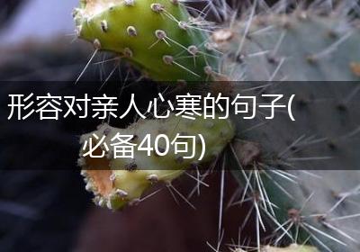 形容对亲人心寒的句子(必备40句)