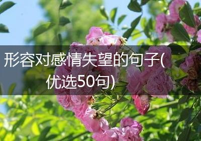 形容对感情失望的句子(优选50句)