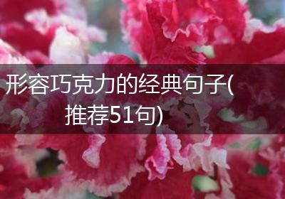形容巧克力的经典句子(推荐51句)