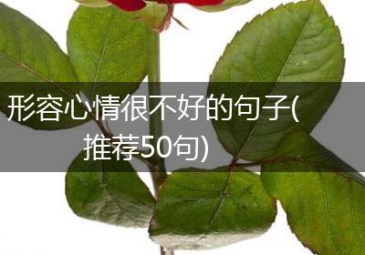 形容心情很不好的句子(推荐50句)