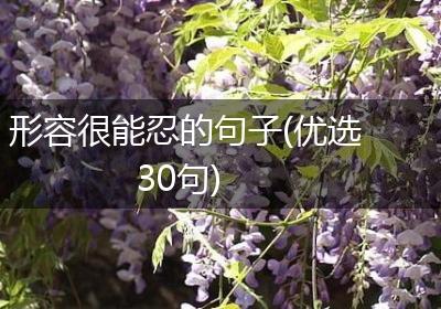 形容很能忍的句子(优选30句)
