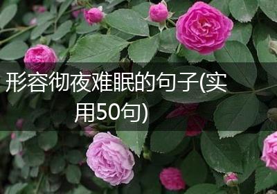 形容彻夜难眠的句子(实用50句)