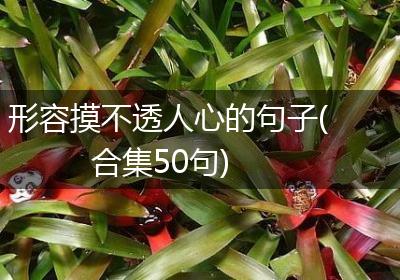 形容摸不透人心的句子(合集50句)