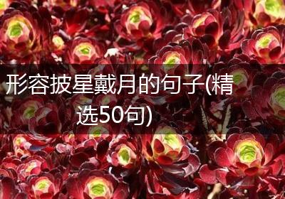 形容披星戴月的句子(精选50句)