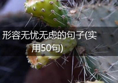 形容无忧无虑的句子(实用50句)