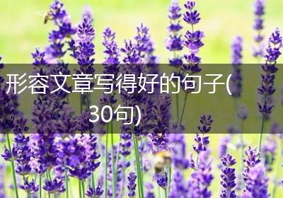 形容文章写得好的句子(30句)