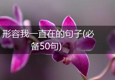 形容我一直在的句子(必备50句)