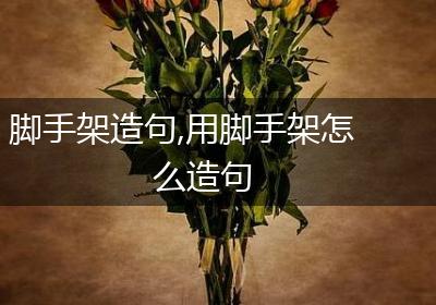 脚手架造句,用脚手架怎么造句