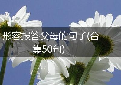 形容报答父母的句子(合集50句)