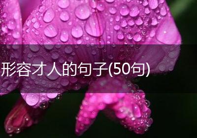 形容才人的句子(50句)
