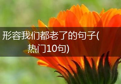 形容我们都老了的句子(热门10句)