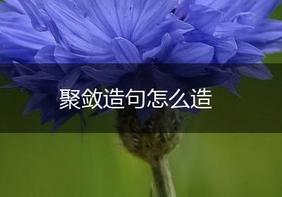 聚敛造句怎么造