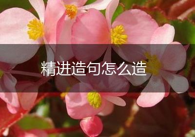 精进造句怎么造