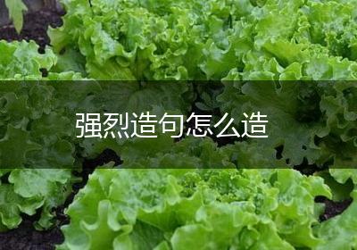 强烈造句怎么造
