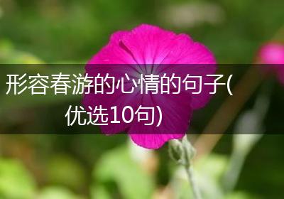 形容春游的心情的句子(优选10句)