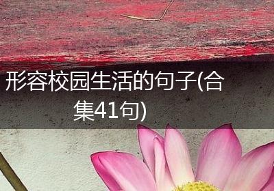 形容校园生活的句子(合集41句)