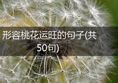 形容桃花运旺的句子(共50句)