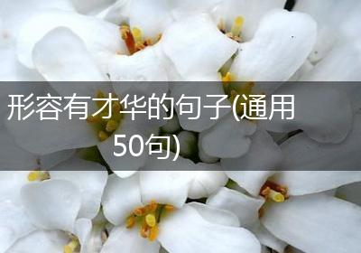 形容有才华的句子(通用50句)