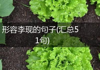 形容李现的句子(汇总51句)