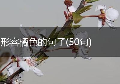形容橘色的句子(50句)