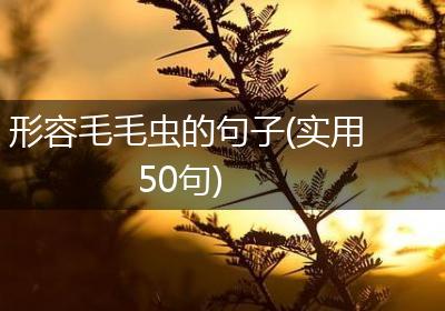 形容毛毛虫的句子(实用50句)