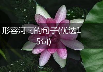 形容河南的句子(优选15句)