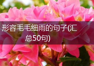 形容毛毛细雨的句子(汇总50句)