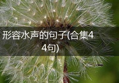 形容水声的句子(合集44句)