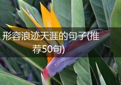 形容浪迹天涯的句子(推荐50句)