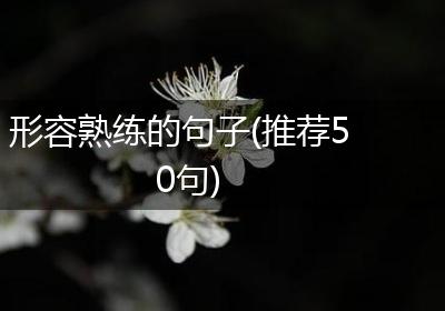 形容熟练的句子(推荐50句)