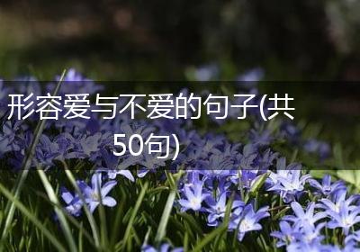 形容爱与不爱的句子(共50句)