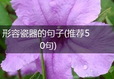 形容瓷器的句子(推荐50句)