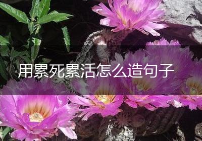 用累死累活怎么造句子