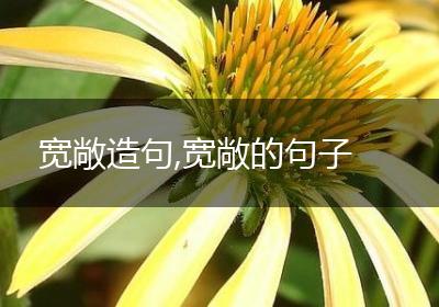 宽敞造句,宽敞的句子