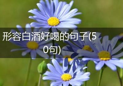 形容白酒好喝的句子(50句)