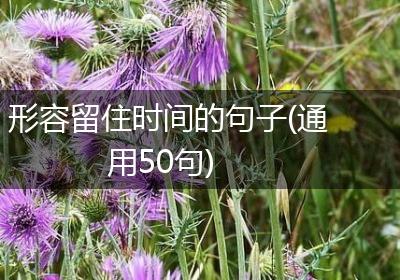 形容留住时间的句子(通用50句)